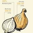 Boosting onion farmers' income in West Africa - thumbnail